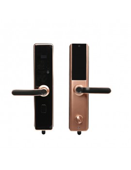 ZS-03  Aluminum Alloy Fingerprint Unlocking Fingerprint Lock Lock in Golden Gray